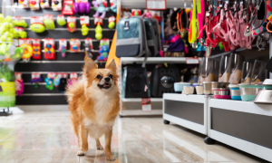 【苏州管家婆分销ERP软件】很标准的大批发商，看看他用了哪些管理软件融合业态，一步步搭建平台？