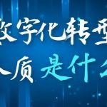 【苏州管家婆软件】为什么中小企业数字化转型失败率这么高？数字化的本质是什么？