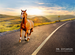 【苏州管家婆软件】快马仓配更新：出库更快，库存更准