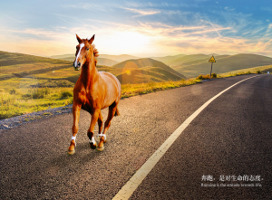 【苏州管家婆软件】云流水SBb更新：配送模块上线，对账收货流程优化