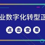 【苏州管家婆软件】公司小，就不用数字化转型？很多中小企业正在输在“不敢变”